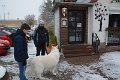 Wandertag 2017 - 001